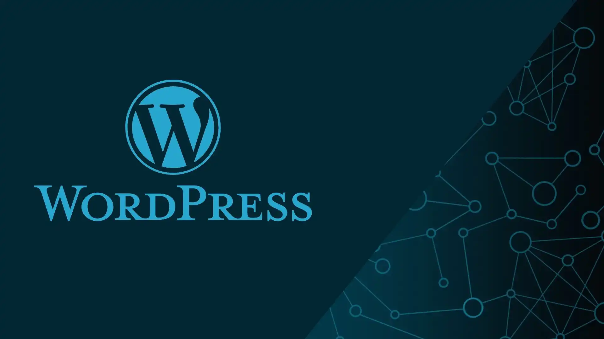 wordpress entegrasyonu - WordPress Entegrasyonu